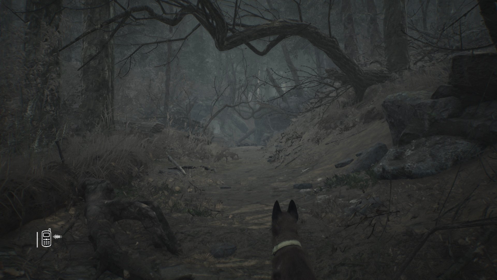 Blair Witch - Imagen 10